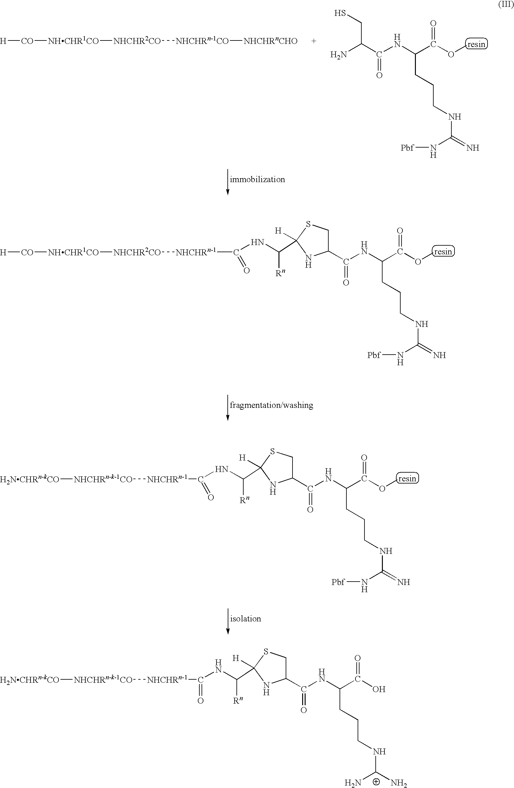 C-terminus modification method, c-terminus immobilization method and analysis method for protein or peptide