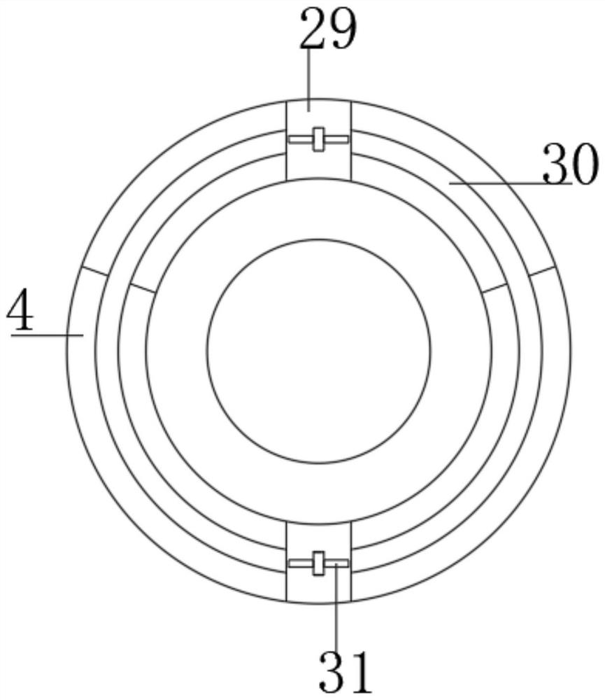 Camellia oleifera seed screening device for camellia oleifera processing