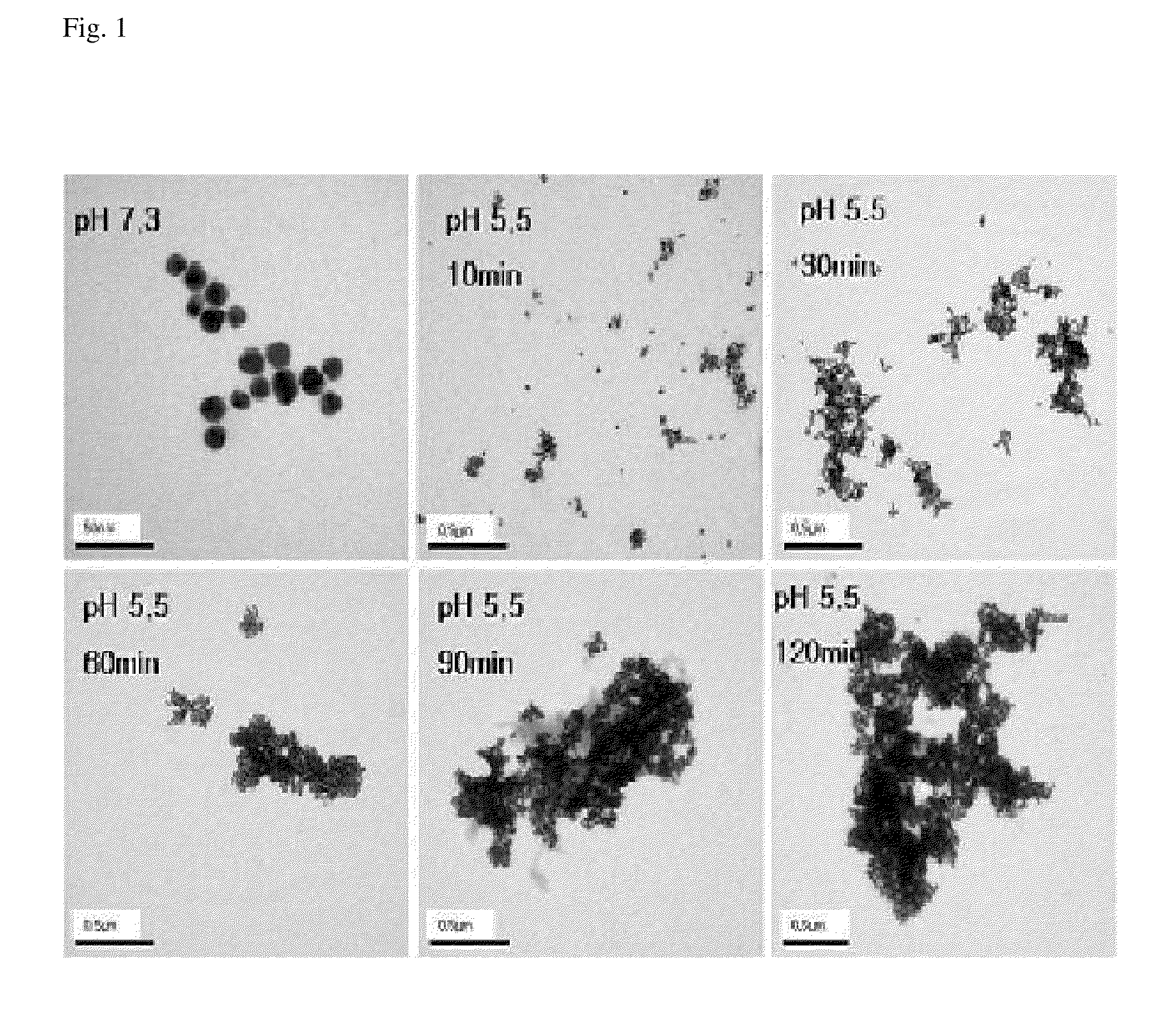 pH Sensitive Metal Nanoparticle and Preparation Method