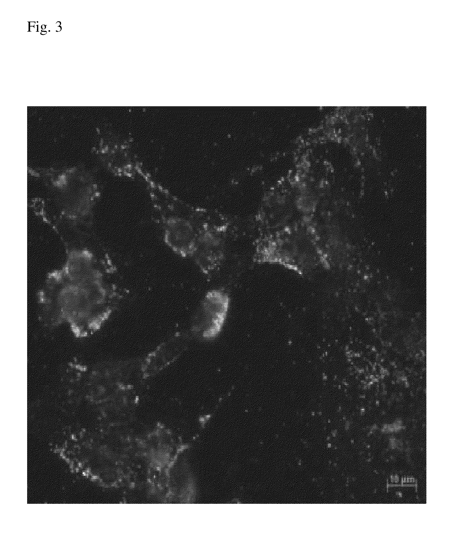 pH Sensitive Metal Nanoparticle and Preparation Method