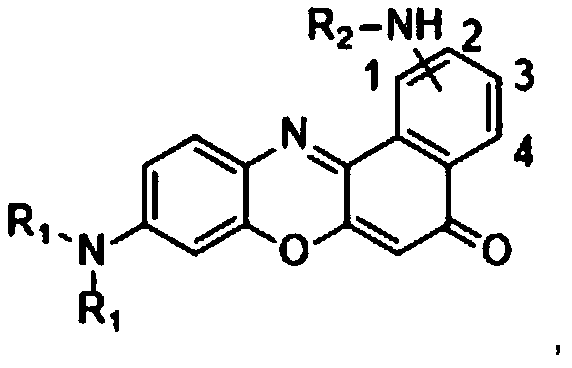 A Class of Near Infrared Fluorescent Small Molecule Probes