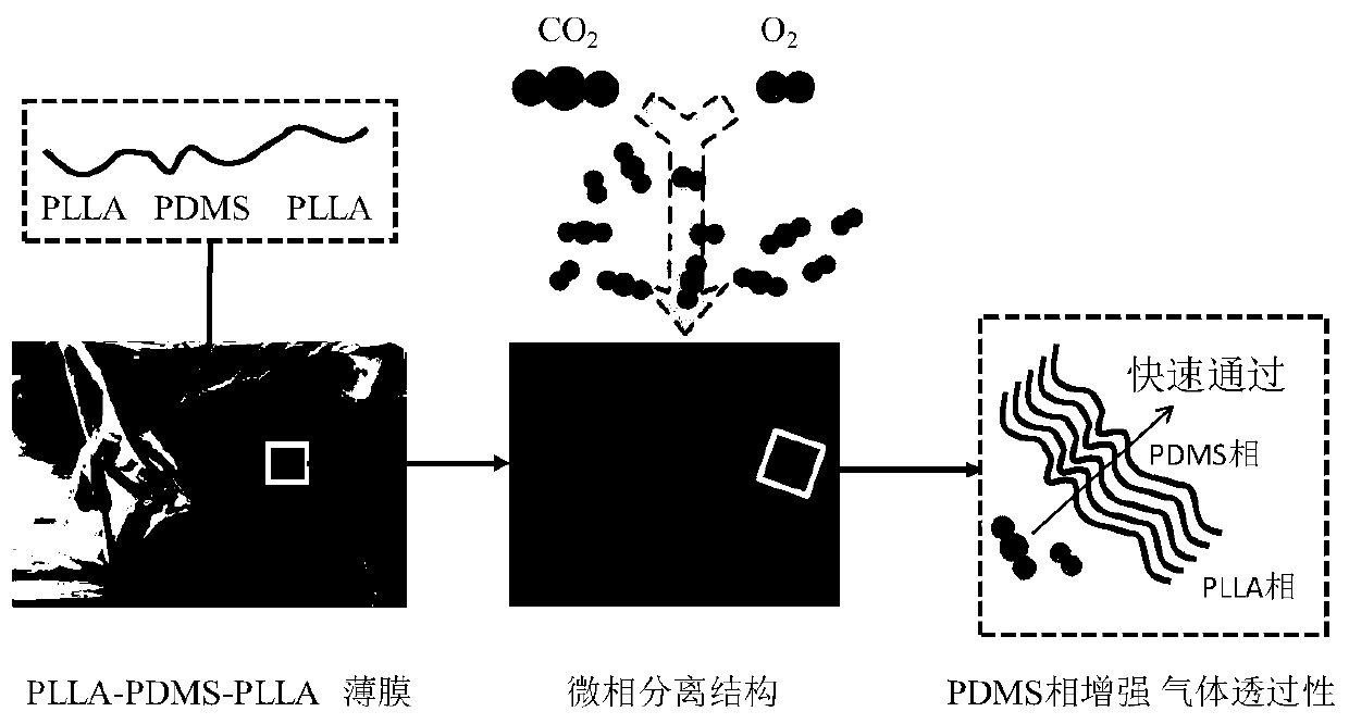 High breathability PLDxL copolymer film, preparation method and application thereof in fresh keeping of fruits and vegetables