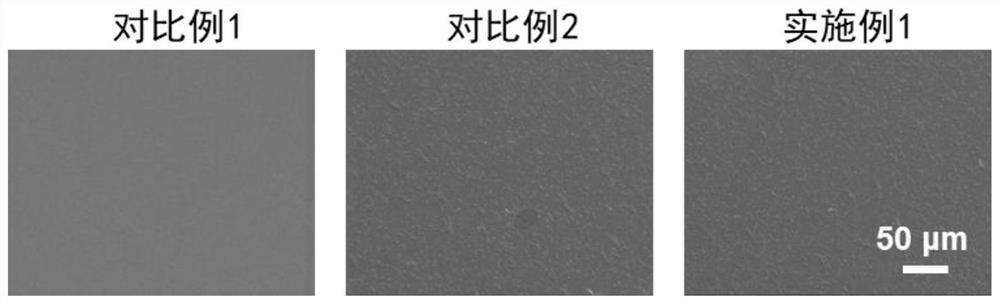 Coating material with modified protein as well as preparation method and application of coating material