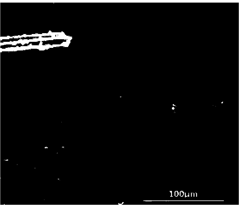 Preparation method for carbon/carbon-graphite composite material used for pantograph slide plate of high-speed train