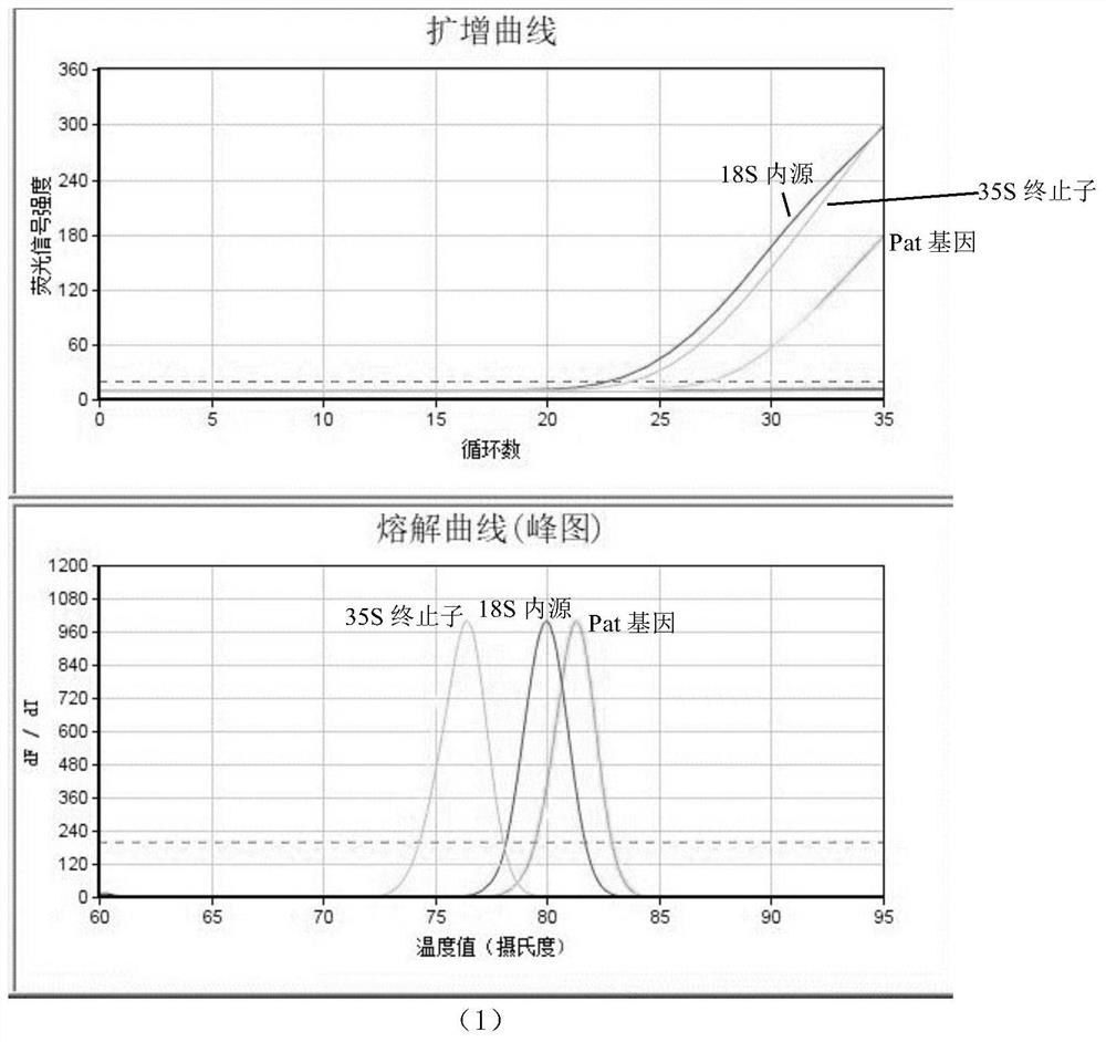 A kit for rapid screening of genetically modified ingredients in feed and its application