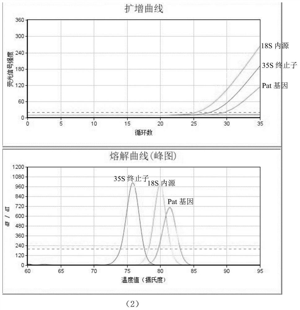 A kit for rapid screening of genetically modified ingredients in feed and its application