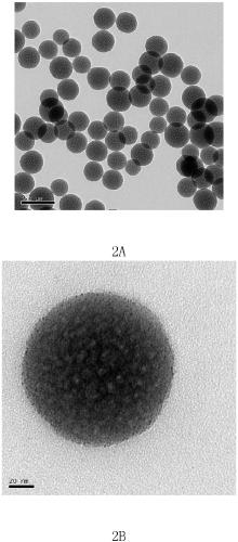 Fluorescent photonic crystal thin film and preparation method thereof