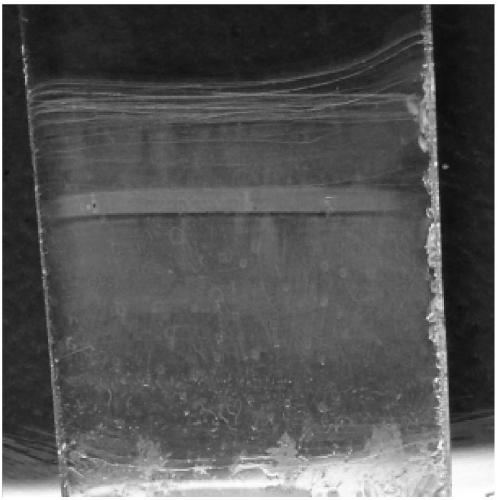 Fluorescent photonic crystal thin film and preparation method thereof