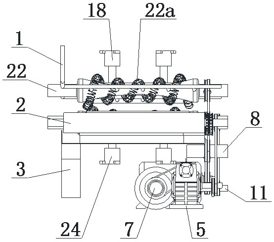 Vertical electric spring fish scale removing machine