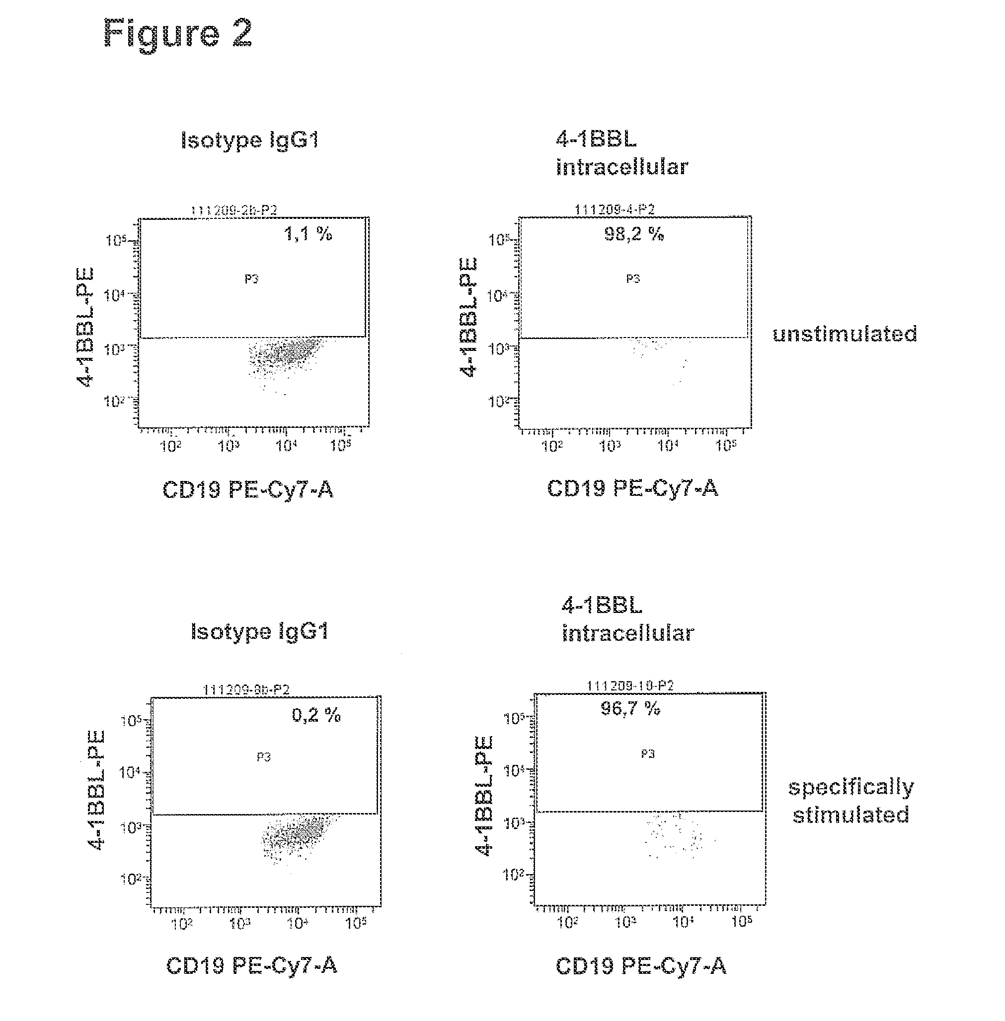 METHOD FOR DETECTION, DIFFERENTIATION AND QUANTIFICATION OF T CELL POPULATIONS BY WAY OF REVERSE TRANSCRIPTION QUANTITATIVE REAL TIME PCR (RT-qPCR) TECHNOLOGY