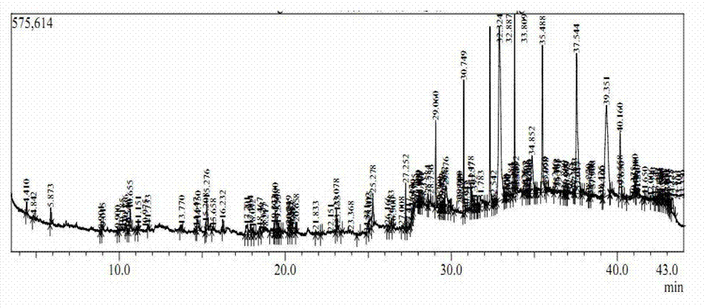 Pichia kluyveri var.kluyveri strain, culture method and application thereof