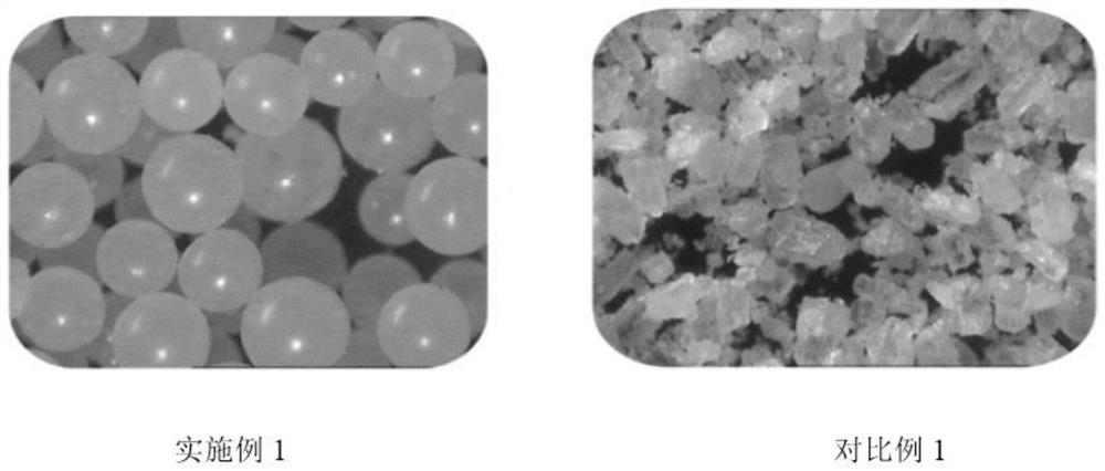 Albendazole and ivermectin premix as well as preparation method and application thereof