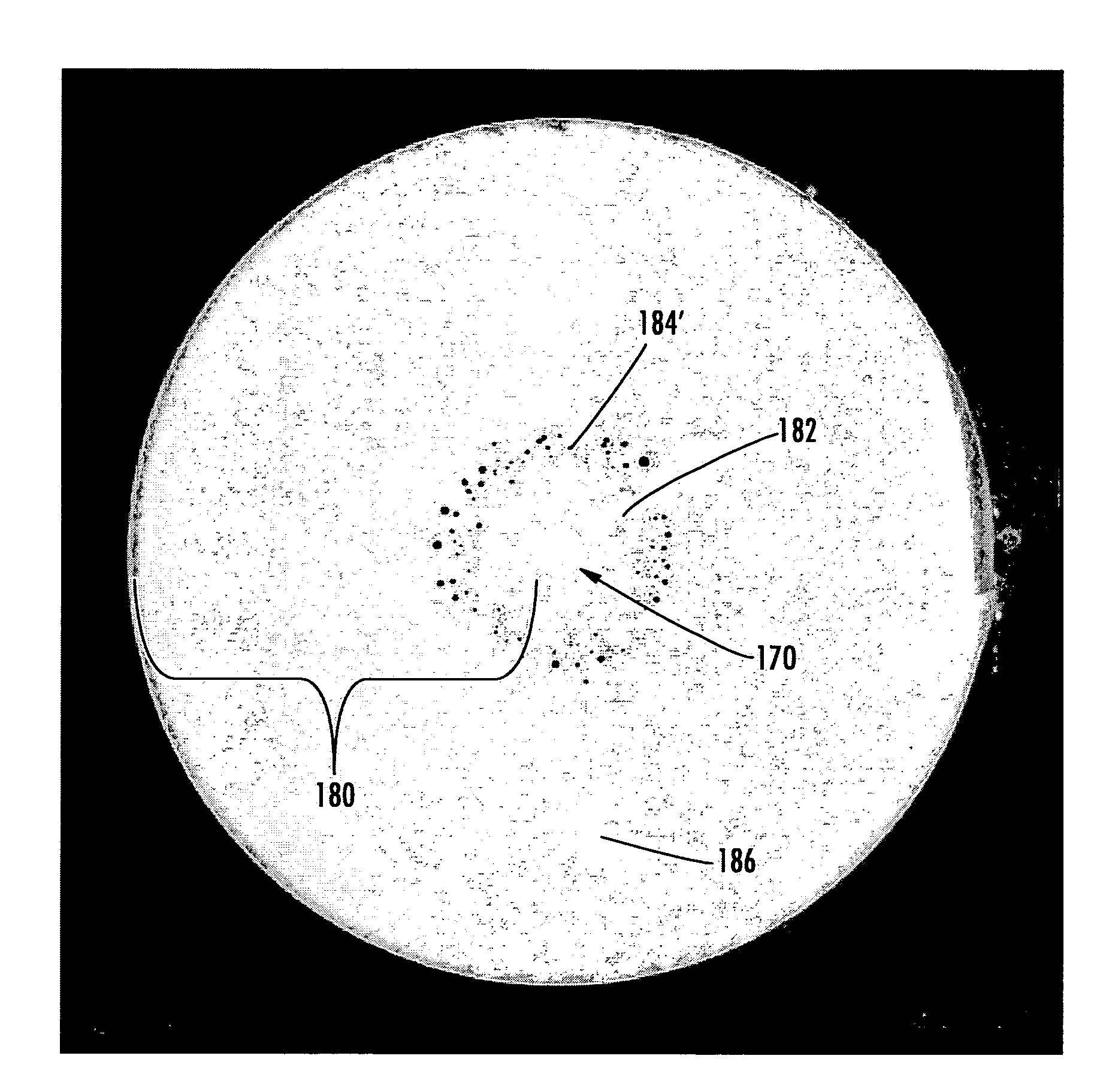 Fiber optic cables and assemblies and the performance thereof