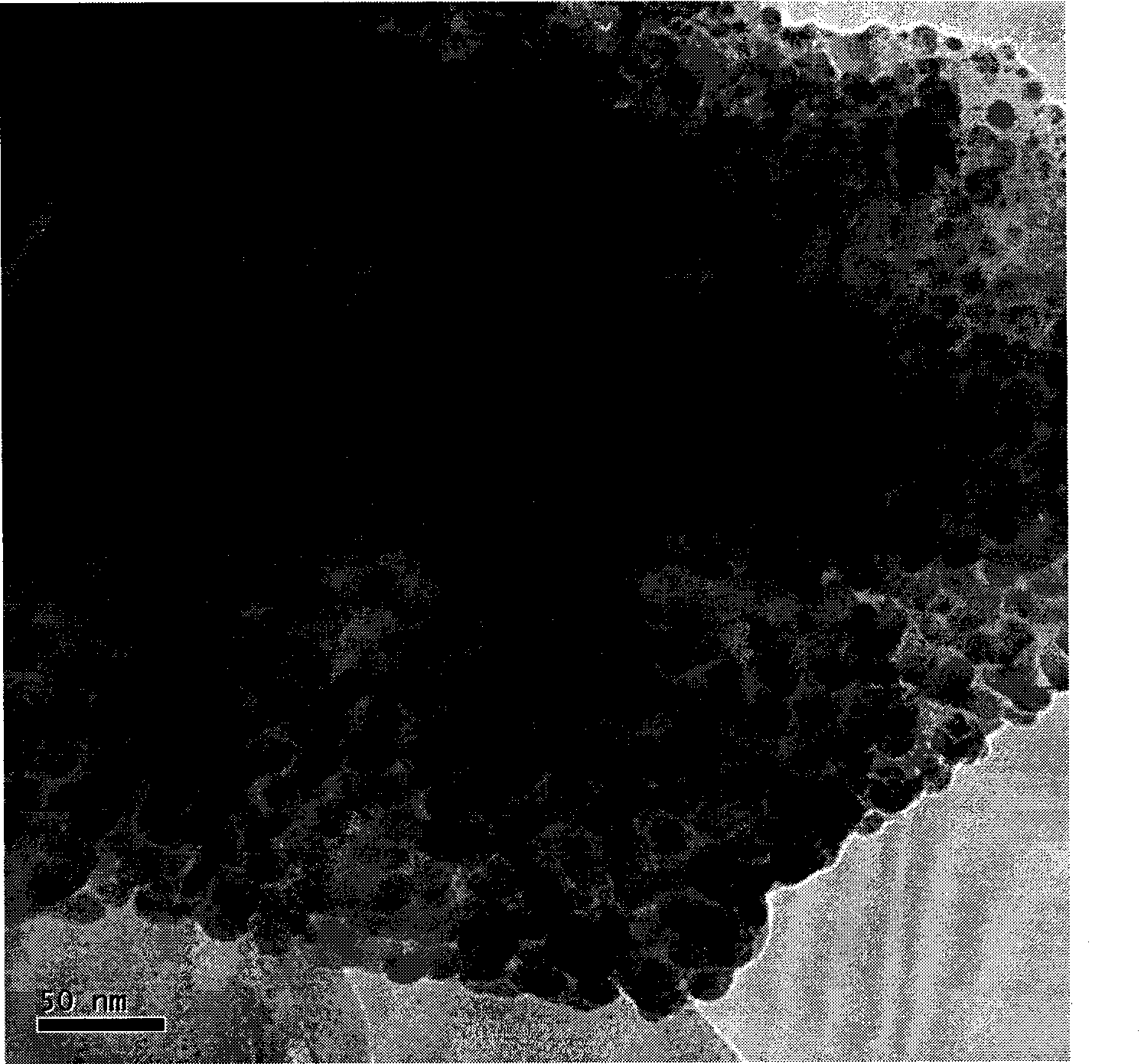 Method for preparing silver/carbon nano composite body