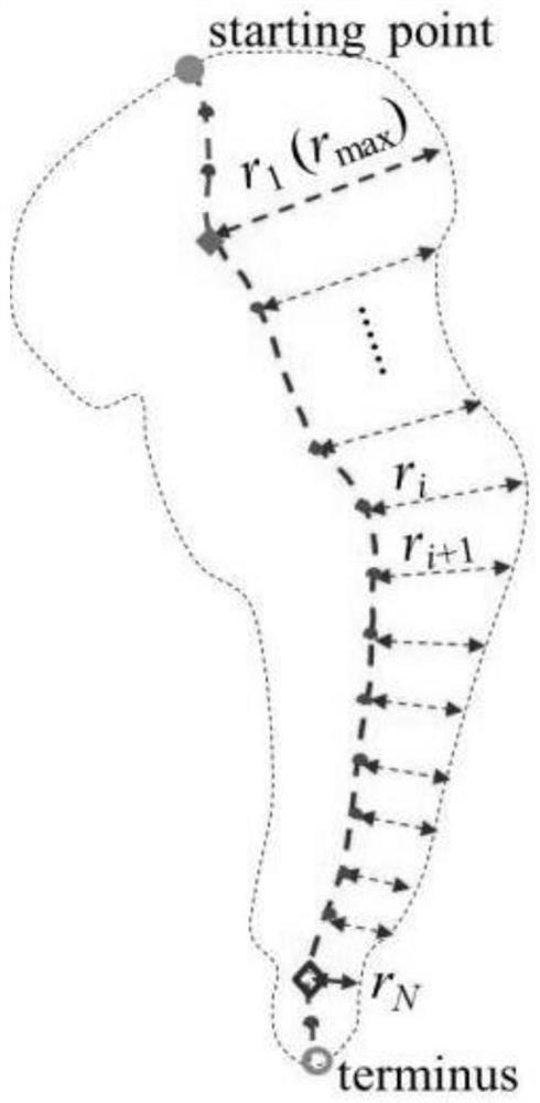 Abdomen DR image processing method and system