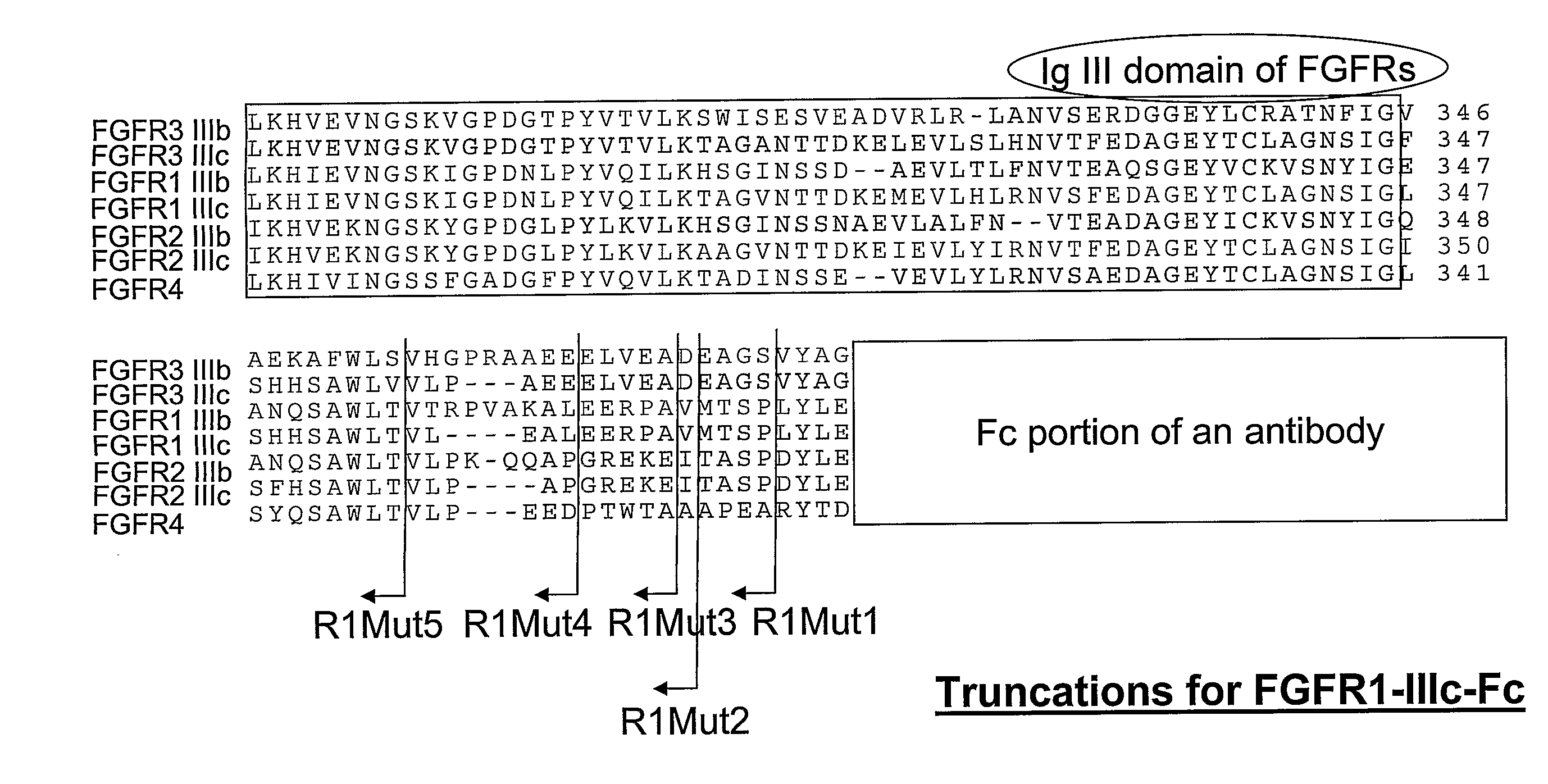 Compositions and Methods of Treating Disease with Fgfr Fusion Proteins