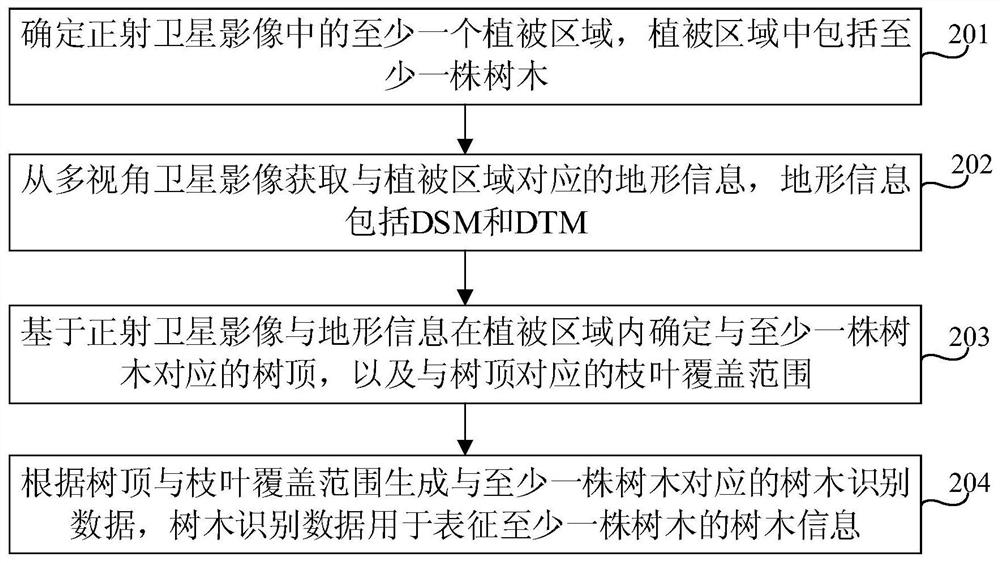 Tree identification method and device