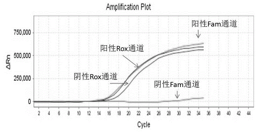 Primers, probe, fluorescent PCR kit and method for detecting human HLA-B*1301 gene