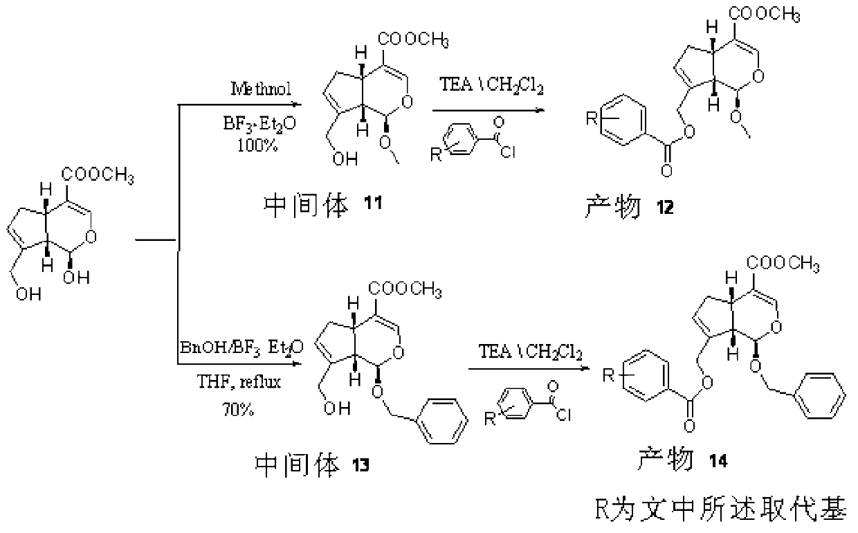 Genipin derivative and application thereof