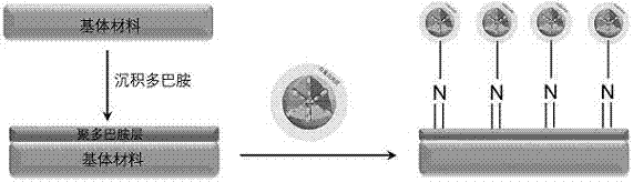 Method for preparing mesoporous silicon nanoparticle coating loaded with heparin and Cu&lt;2+&gt; on surface of biological material