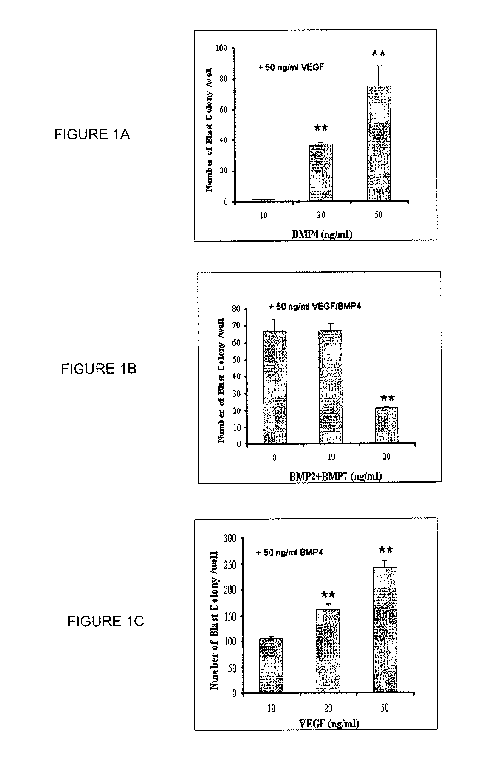 Hemangio colony forming cells and non-engrafting hemangio cells