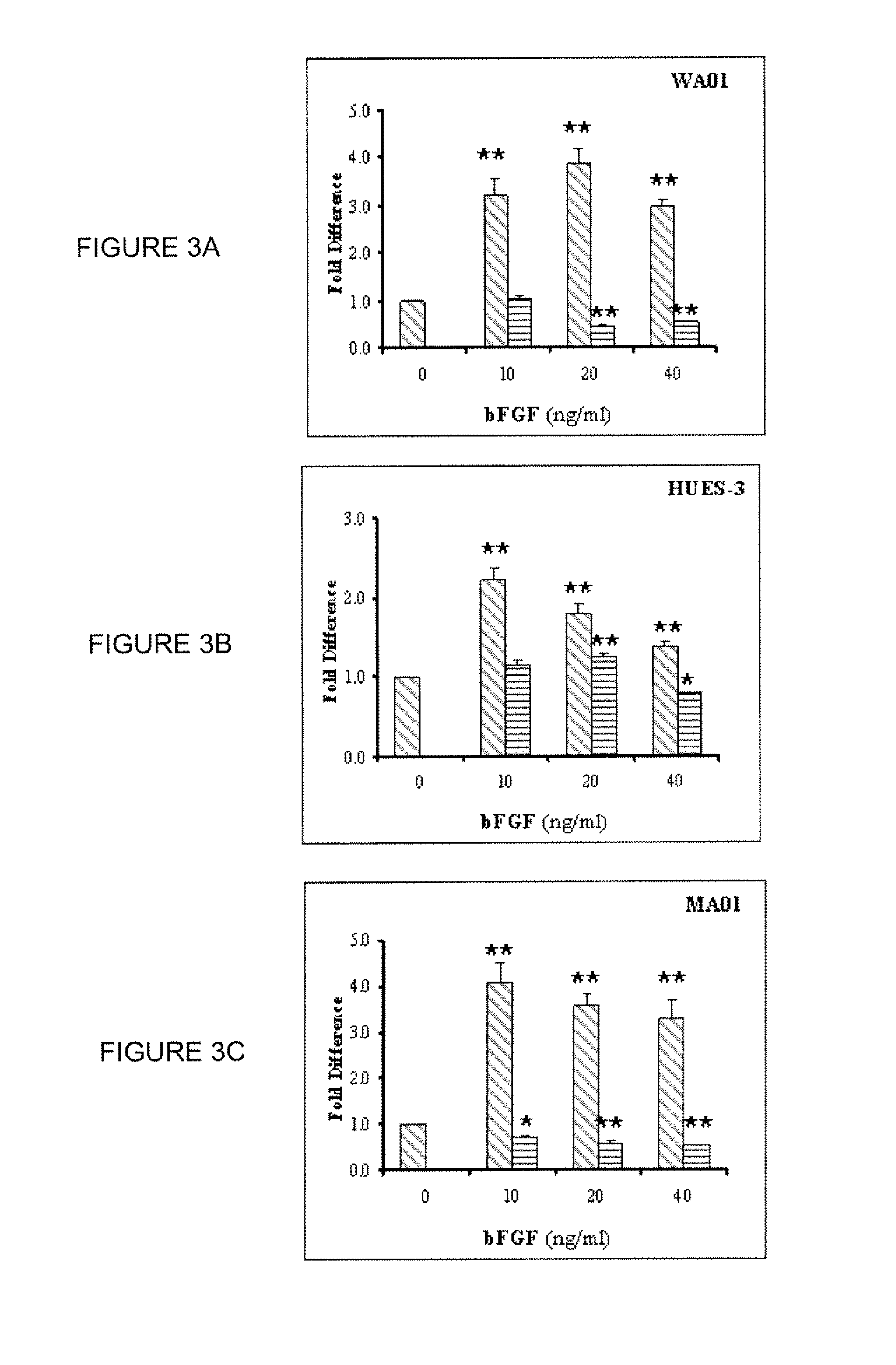 Hemangio colony forming cells and non-engrafting hemangio cells