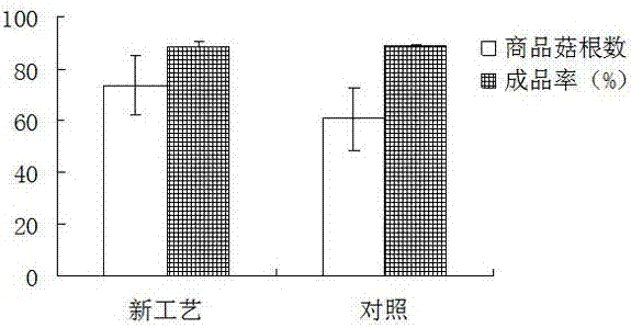 Hypsizigus marmoreus cultivation method