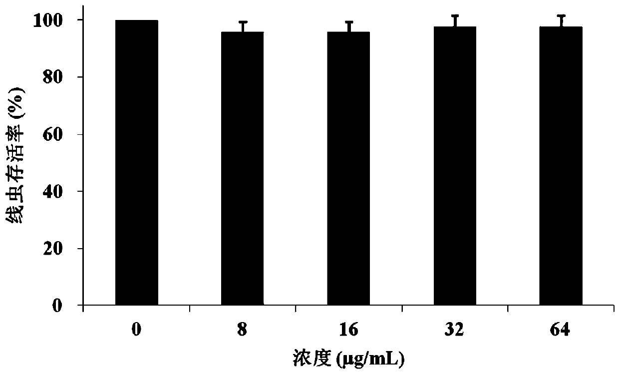 Application of kalopanax saponin A in preparation of anti-candida albicans drugs, drug preparation of kalopanax saponin A, and drug preparation for diseases caused by candida albicans