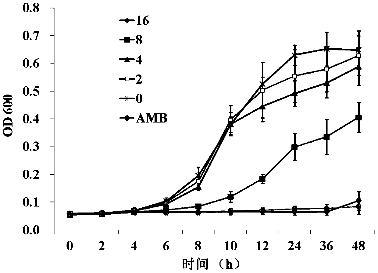 Application of kalopanax saponin A in preparation of anti-candida albicans drugs, drug preparation of kalopanax saponin A, and drug preparation for diseases caused by candida albicans