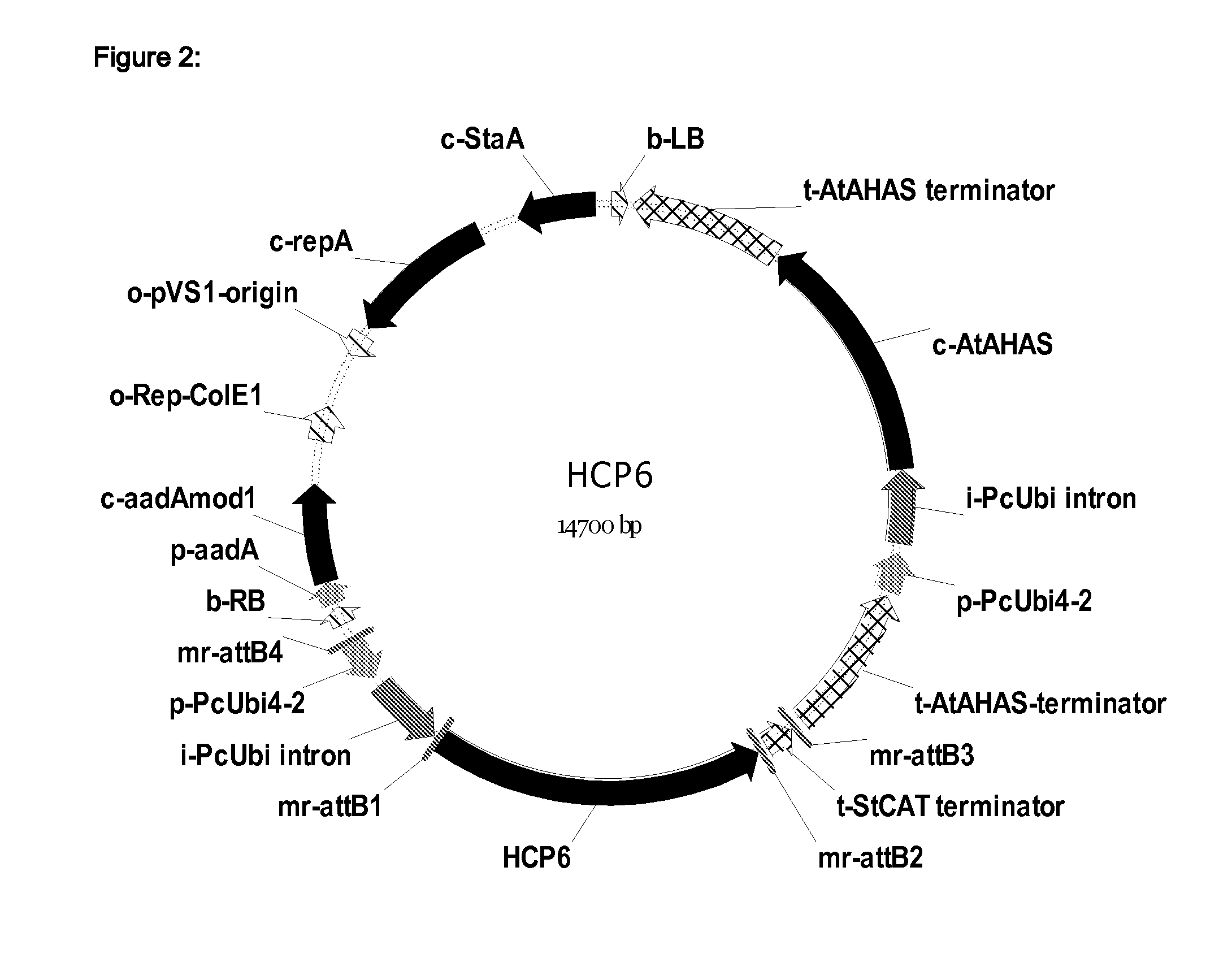 Fungal resistant plants expressing hcp6