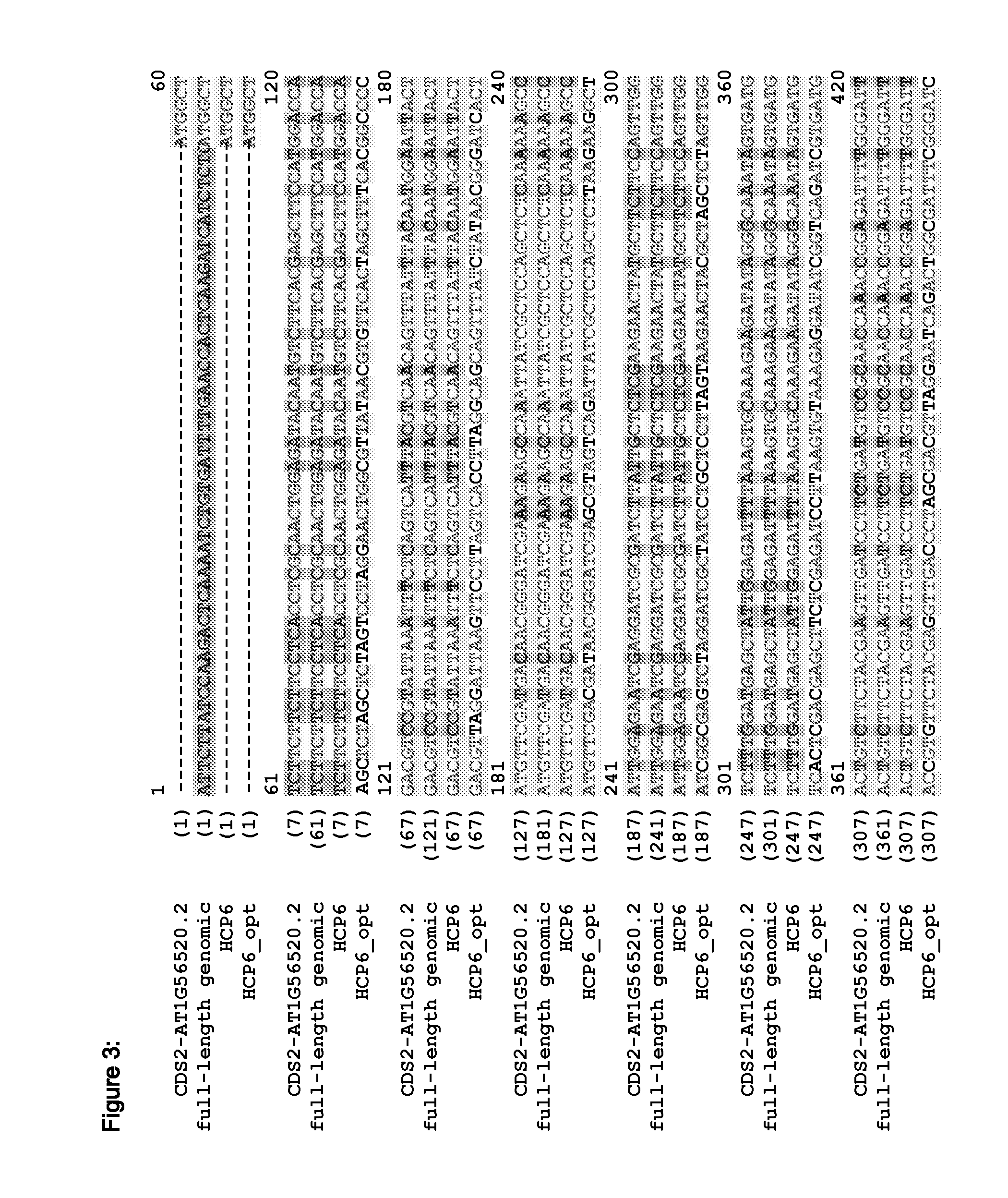 Fungal resistant plants expressing hcp6