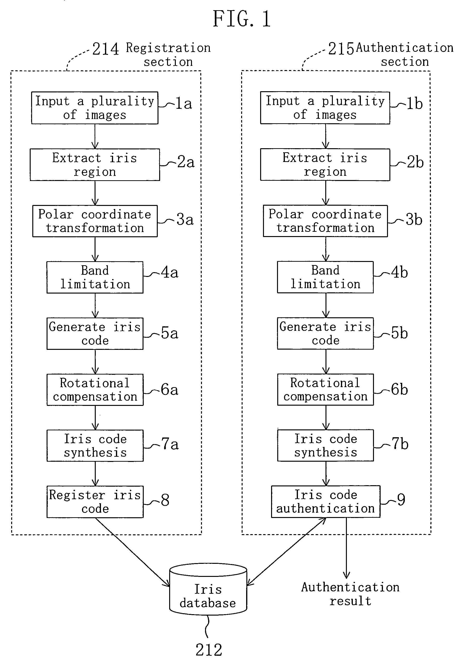 Iris encoding method, individual authentication method, iris code registration device, iris authentication device, and iris authentication program