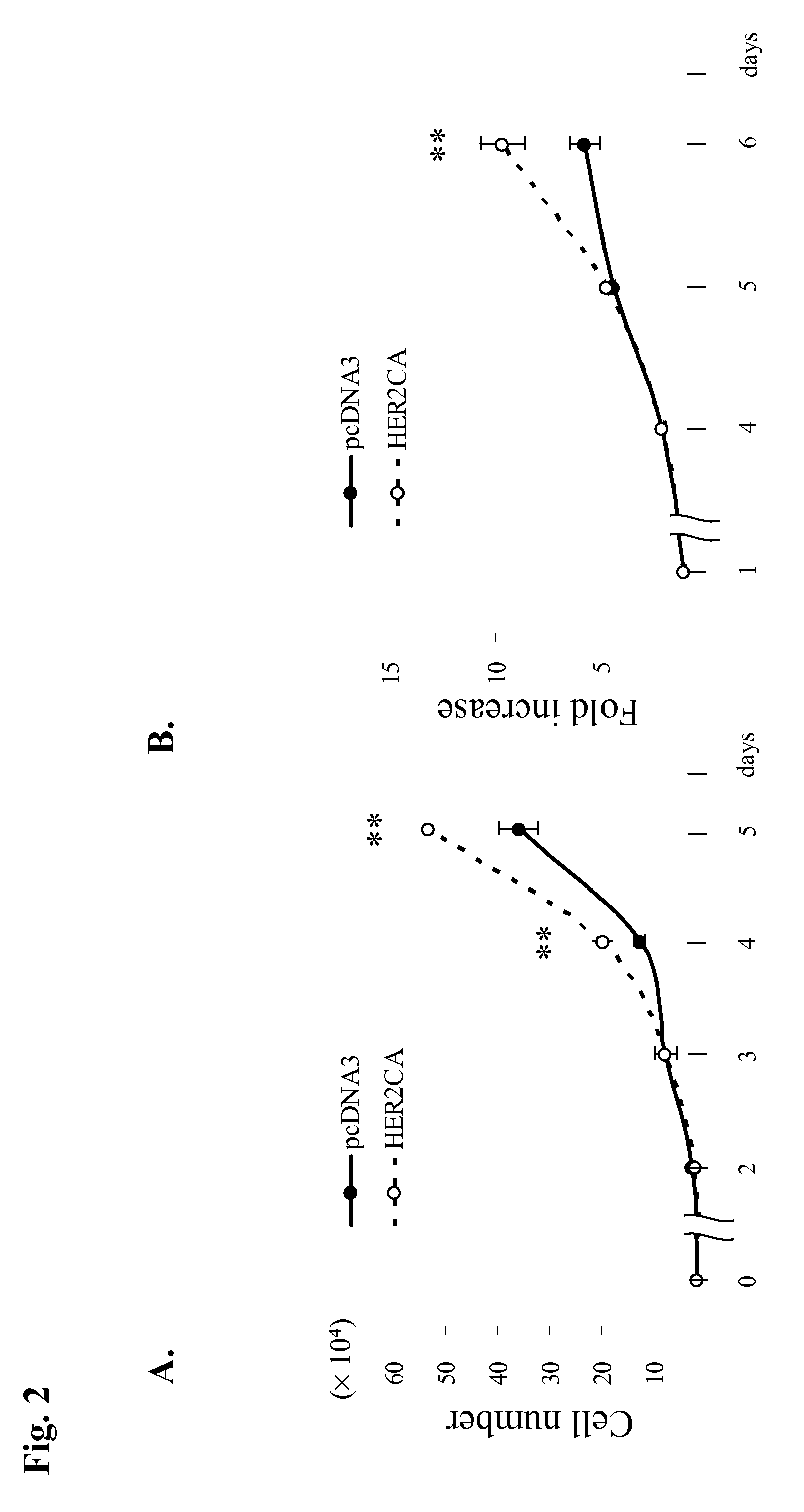 Use of tyrosine kinase inhibitors for treatment of prolactinoma