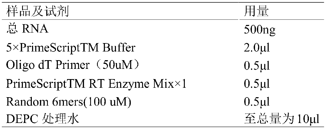 Nrf2/ARE low-oxygen expression and measuring method of protective effects of Nrf2/ARE and astragalus polysaccharides