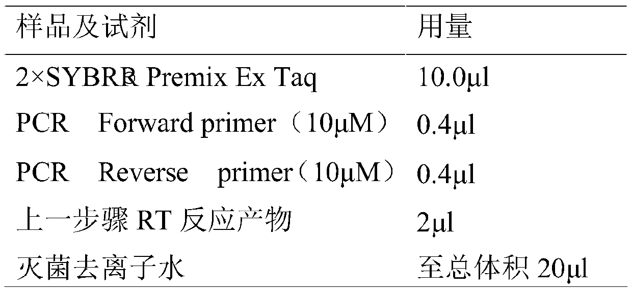 Nrf2/ARE low-oxygen expression and measuring method of protective effects of Nrf2/ARE and astragalus polysaccharides