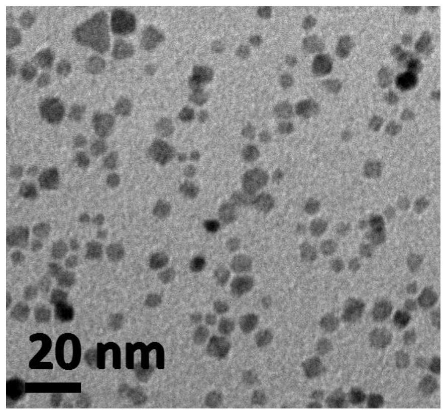 Drug delivery system, and preparation method and application of drug delivery system