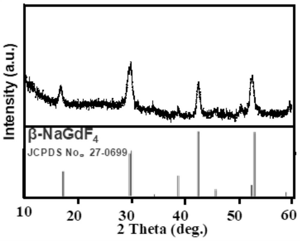 Drug delivery system, and preparation method and application of drug delivery system