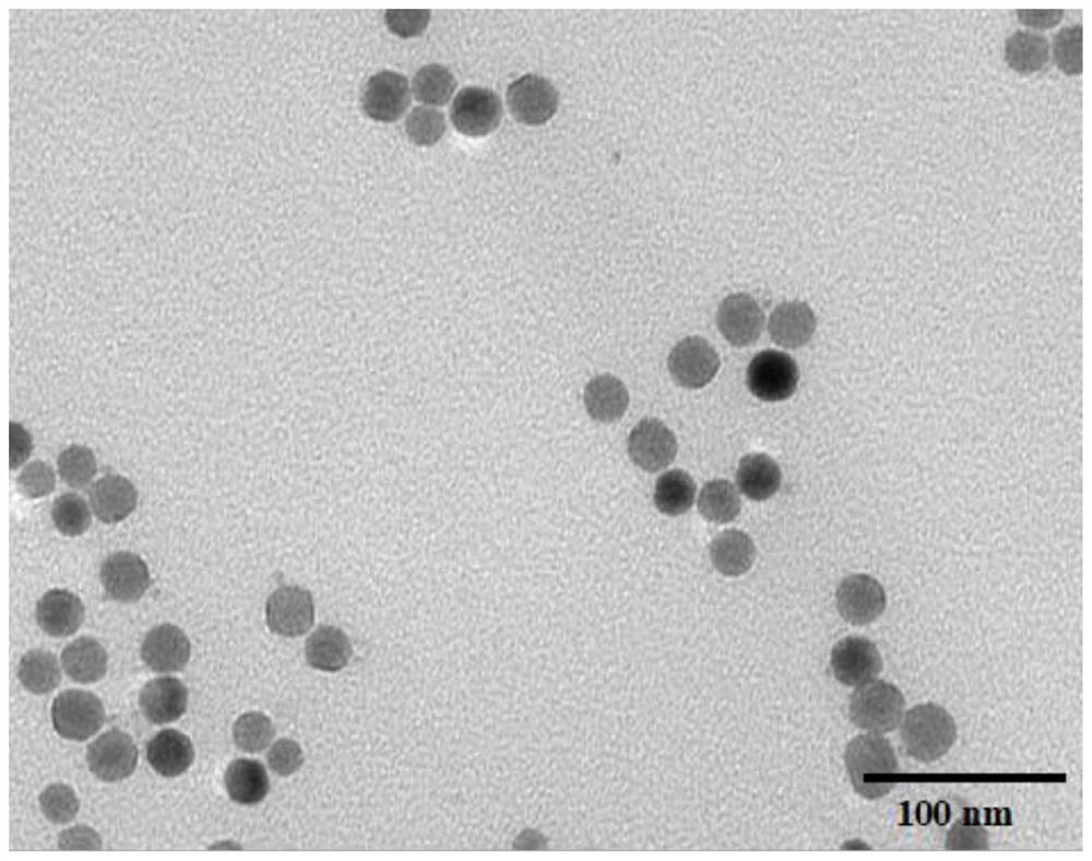 Drug delivery system, and preparation method and application of drug delivery system