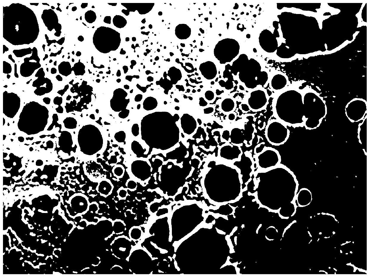 Rose essential oil microcapsule emulsion, and preparation method and application thereof