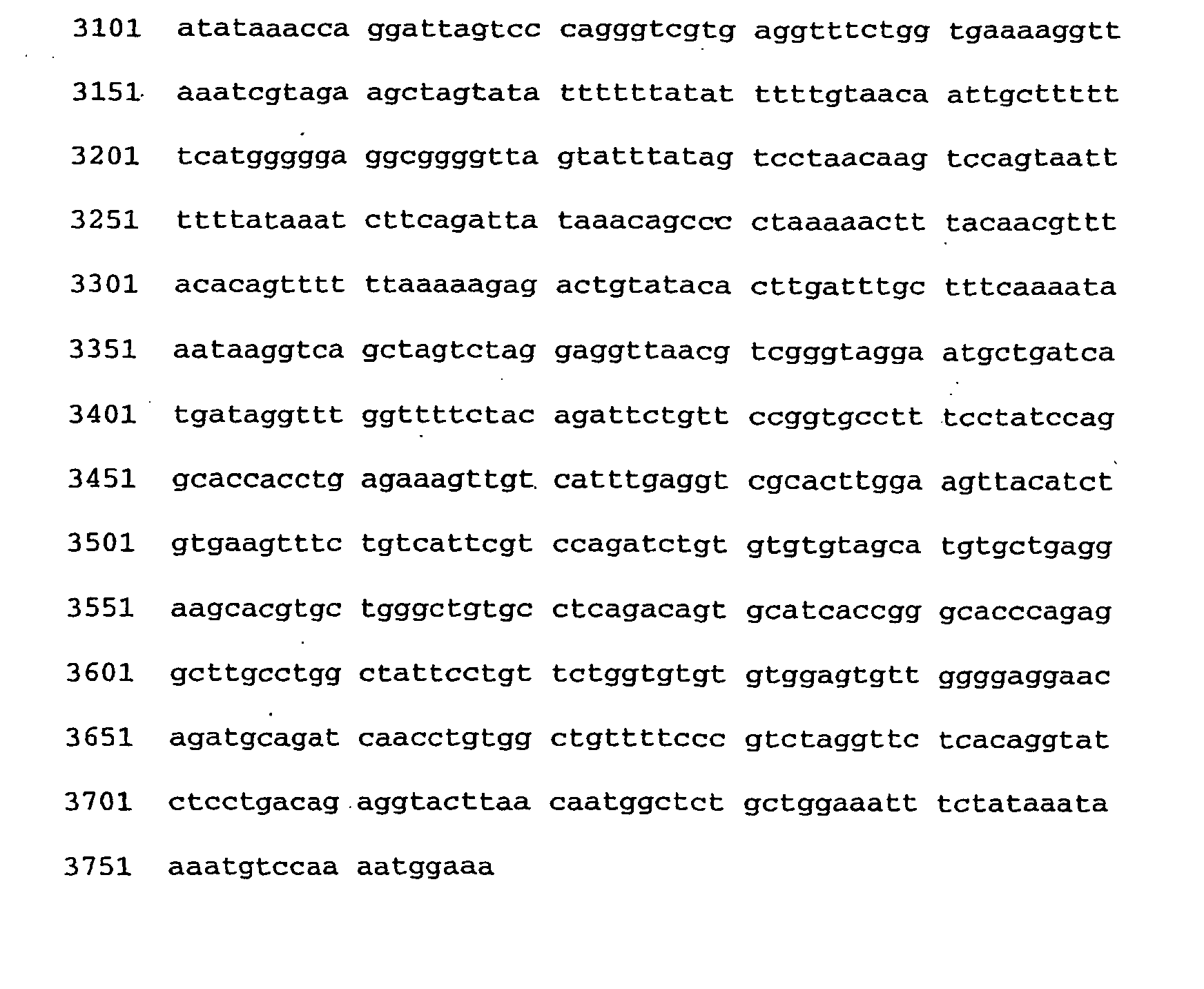 Novel alanine transaminase enzyme and methods of use