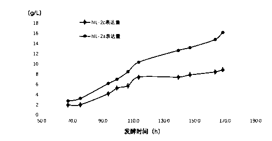 Optimized hIL-2 (human interleukin-2) genes as well as expression method and application thereof