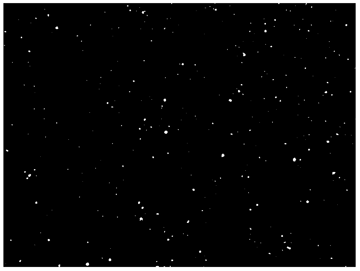 Microbubble ultrasound contrast agent containing mitomycin C as well as preparation method and use thereof