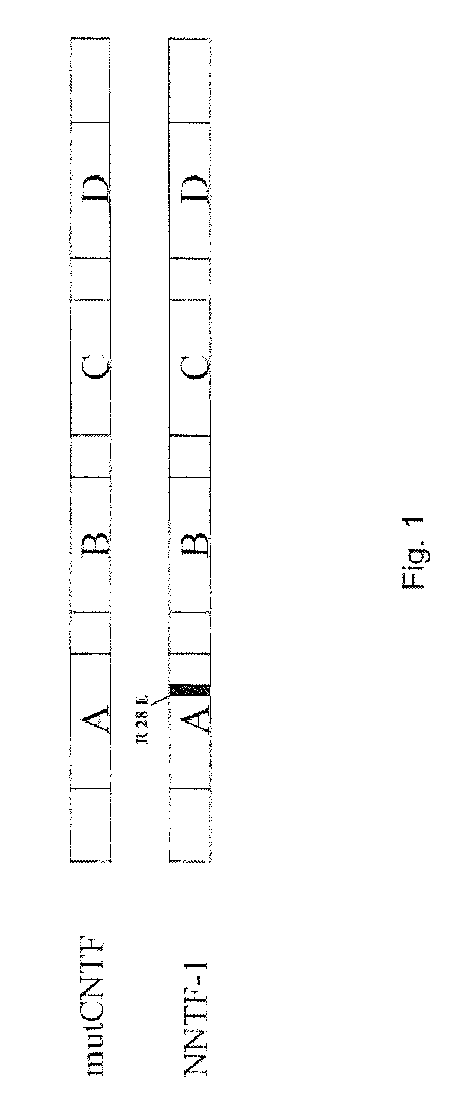 Ciliary neurotrophic factor variants