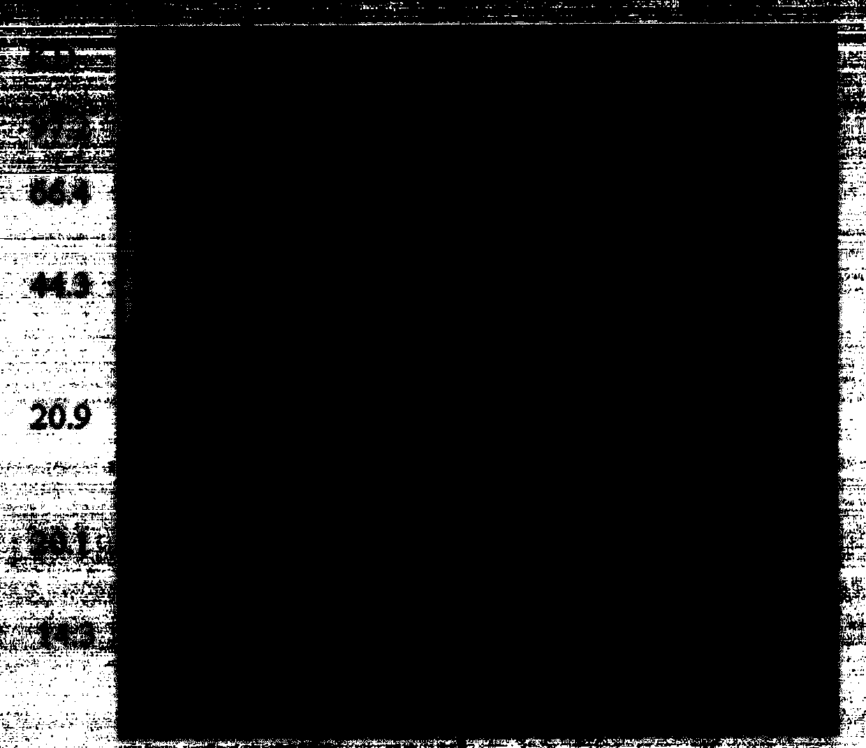 Anti-influenza A virus and novel universal epitope vaccine and preparing method thereof