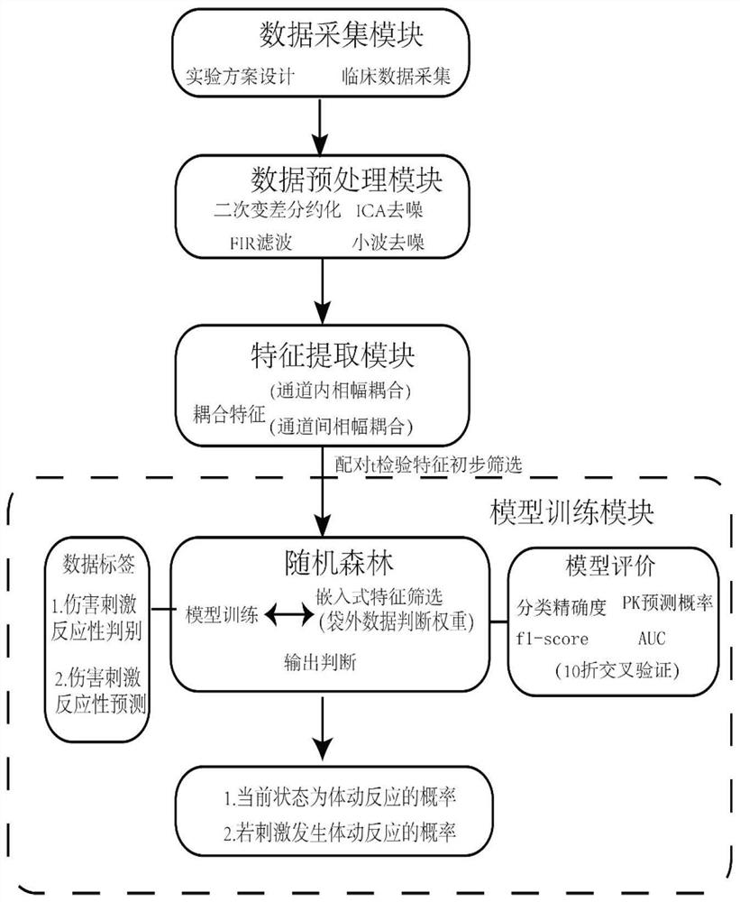 Intraoperative injury stimulation reactivity monitoring system and method based on electroencephalogram coupling relation