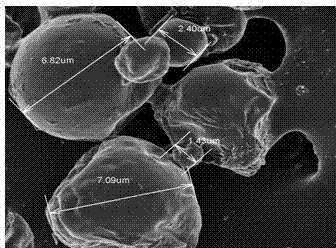 Preparation method of purple perilla seed oil microcapsule