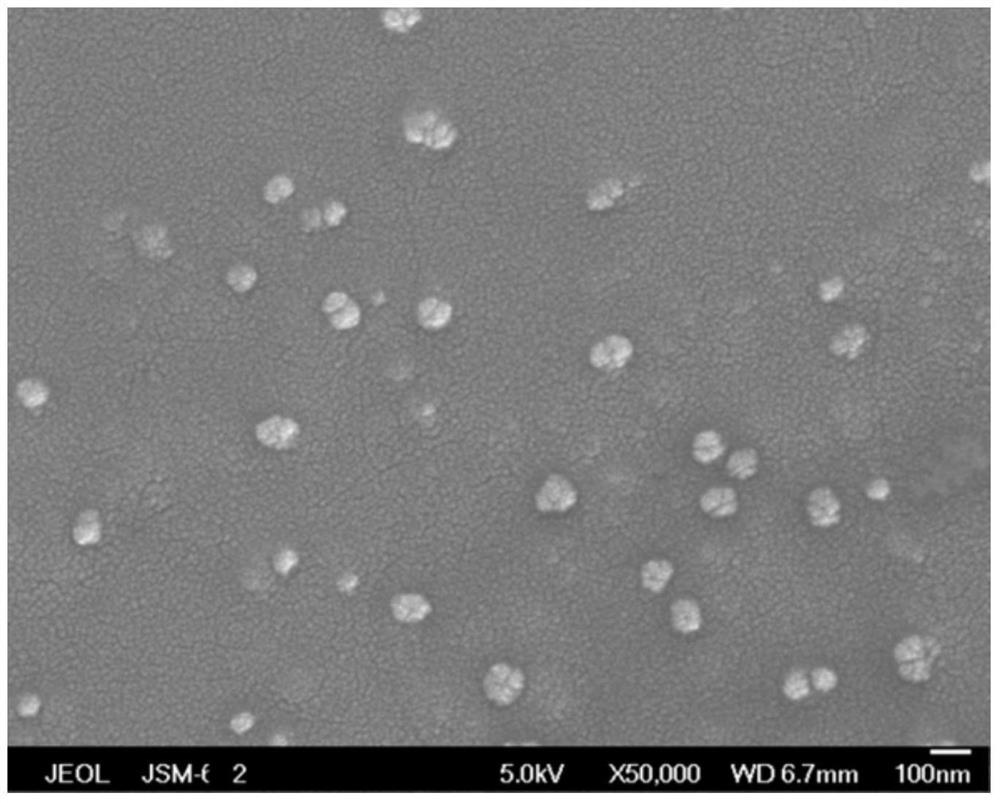 A kind of method that applies supergravity technology to prepare nano liposome