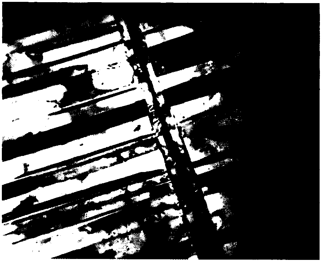 In-situ self-generated TiB2 whisker-reinforced TiAl-based composite material and preparation method thereof