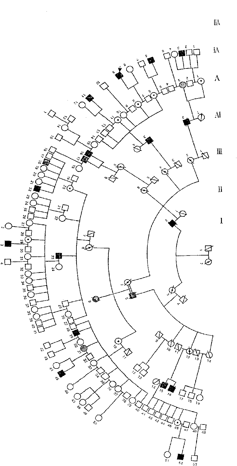 Protein related to human hair and tooth development amd its coding gene