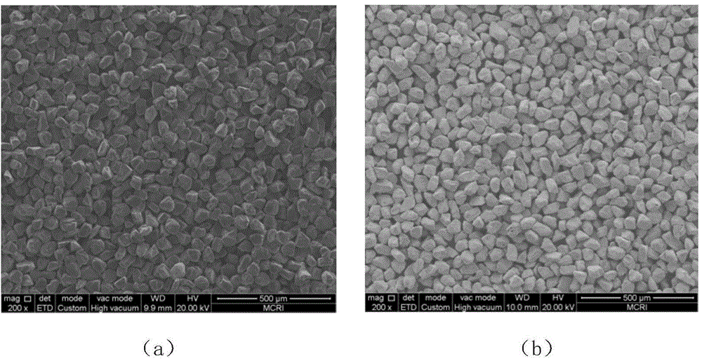 Directional porous SiC and diamond reinforced Al base composite material and preparation method thereof